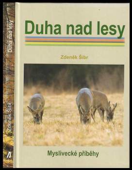 Duha nad lesy