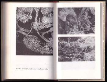 Erich von Däniken: Důkazy z pěti kontinentů