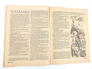 A Malý: Důl v Arizoně, Rozruch 149, ročník III., č. 44.