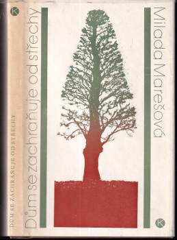 Dům se zachraňuje od střechy