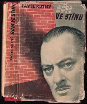 Dům ve stínu : román