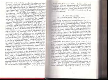 Miguel de Cervantes Saavedra: Důmyslný rytíř Don Quijote de la Mancha