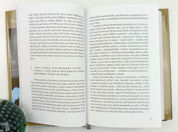 Claudio Magris: Dunaj