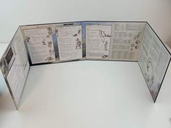 Dungeons and Dragons (francouzsky)