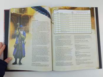 Dungeons and Dragons (francouzsky)