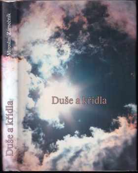 Duše a křídla