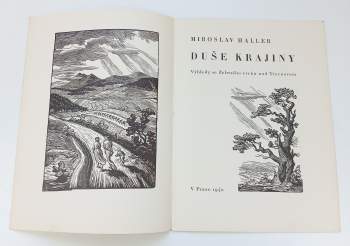 Miroslav Haller: Duše krajiny