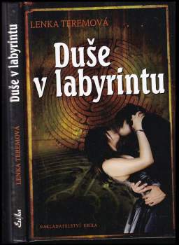 Duše v labyrintu