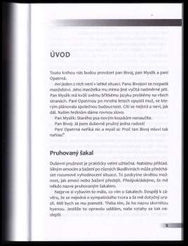 Karel Nešpor: Duševní pružnost v každodenním životě