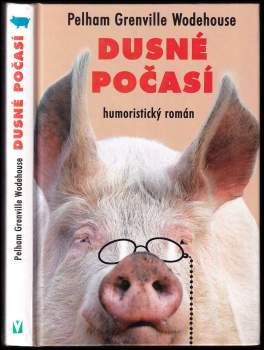 Dusné počasí