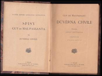 Guy de Maupassant: Důvěrná chvíle