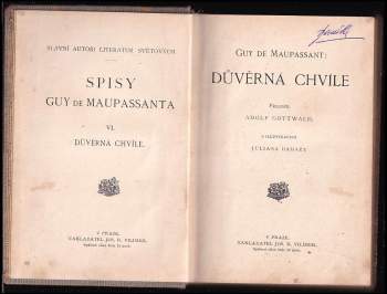 Guy de Maupassant: Důvěrná chvíle