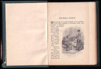 Guy de Maupassant: Důvěrná chvíle