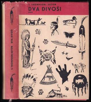 Dva divoši