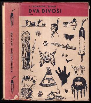 Dva divoši