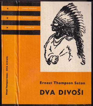 Dva divoši