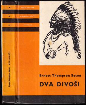 Dva divoši