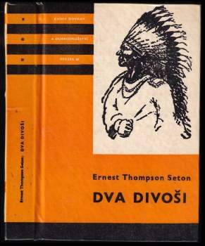 Dva divoši
