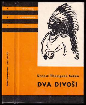 Dva divoši