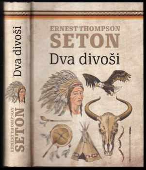 Dva divoši