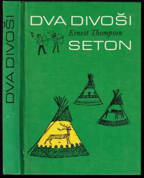 Dva divoši