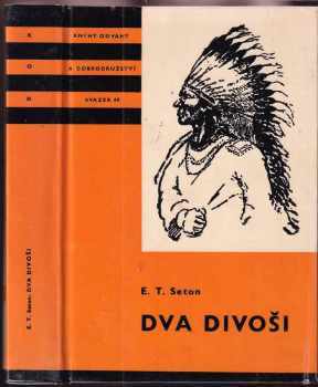 Dva divoši