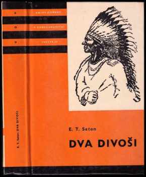 Dva divoši