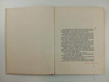 Josef Jahoda: Dva nezbedníci