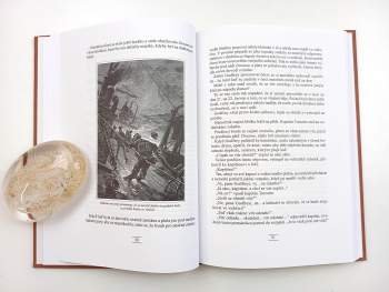 Jules Verne: Dva Robinsoni