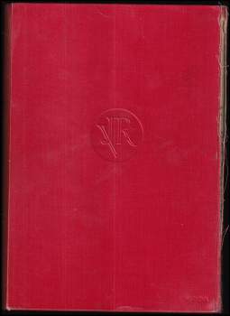 Jules Verne: Dva Robinsoni