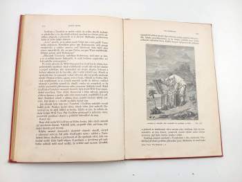 Jules Verne: Dva Robinsoni