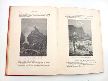 Jules Verne: Dva Robinsoni