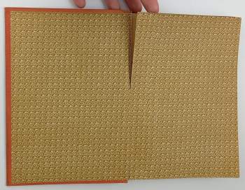 Jules Verne: Dva roky prázdnin