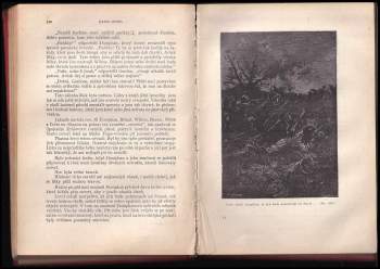 Jules Verne: Dva roky prázdnin