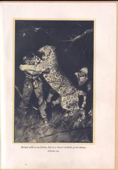 Jules Verne: Dva roky prázdnin