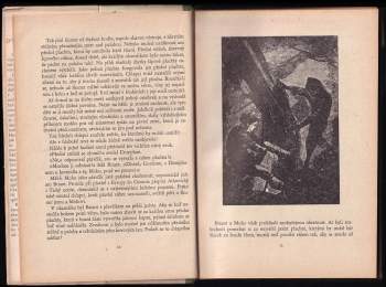 Jules Verne: Dva roky prázdnin