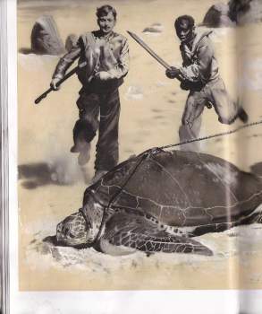 Ondřej Neff: Dva roky prázdnin