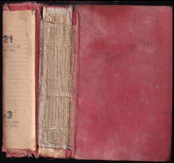 Sína Drahorádová-Lvová: Dva světy