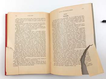 Jules Verne: Dvacet tisíc mil pod mořem