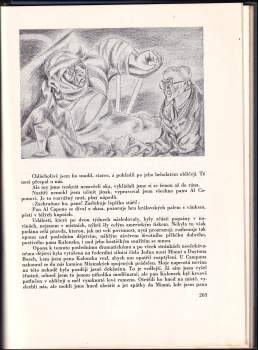 Jan Drda: Dvanáct poutí světem