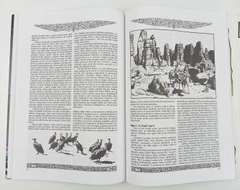 Michael Bronec: Dvanáct sošek Almiru - modul pro Dračí doupě