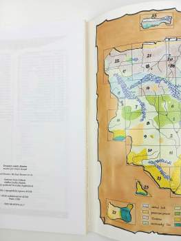 Michael Bronec: Dvanáct sošek Almiru - modul pro Dračí doupě