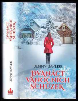 Jenny Bayliss: Dvanáct vánočních schůzek