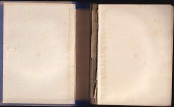 Růžena Utěšilová: Dvě lásky Filíny Borkovcové