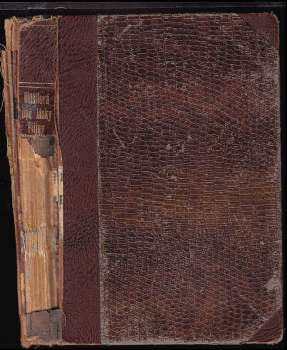 Růžena Utěšilová: Dvě lásky Filíny Borkovcové