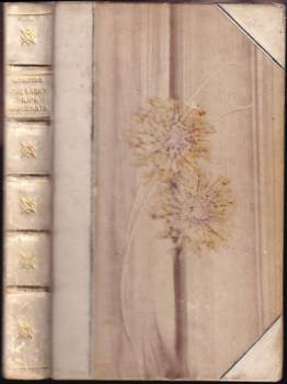 Dvě lásky Filipa Marcenata