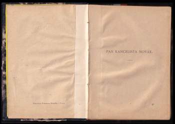 Věnceslava Lužická: Johana z Rožmitála, manželka Jiřího z Poděbrad