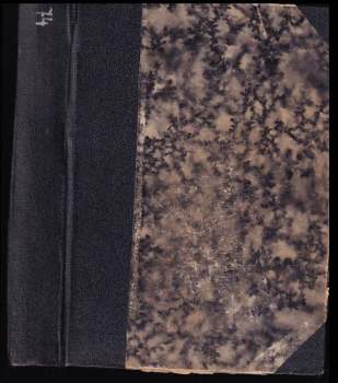 Věnceslava Lužická: Johana z Rožmitála, manželka Jiřího z Poděbrad