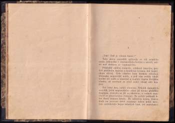 Josef Císler: Dvojí život