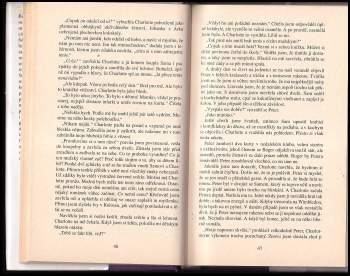 Danielle Steel: Dvojník